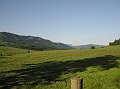 P6210005