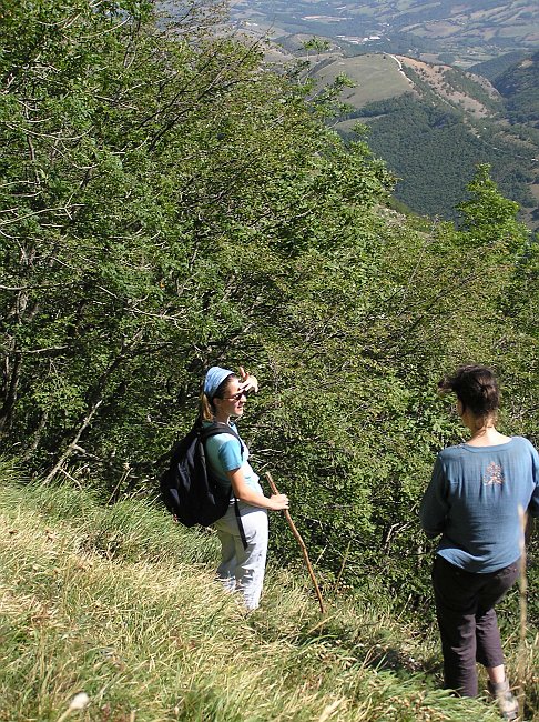 FAvellana_15.JPG - Fonte Avellana : balade sur le "Sentiero dei Carbonai"