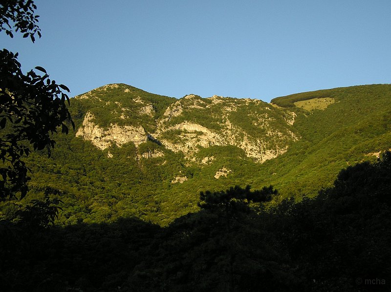 FAvellana_22.JPG - Fonte Avellana