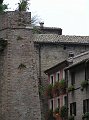 Urbino_29