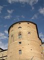 Urbino